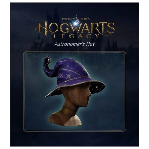 PS5 - HOGWARTS LEGACY