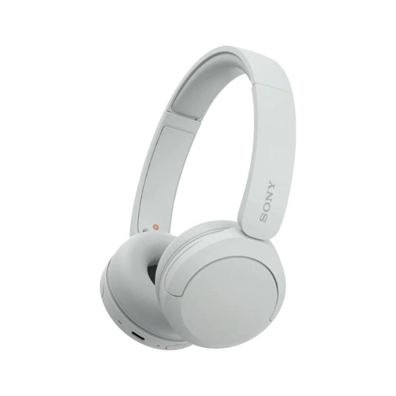 SONY WH-CH520